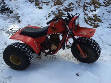 Honda atc 250r swingarm #3